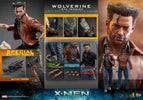 Wolverine (1973 Version) (Deluxe Version) (Special Edition)