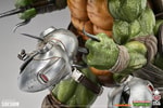 Raphael (Deluxe Edition) (Prototype Shown) View 9