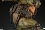 Donatello Collector Edition (Prototype Shown) View 10