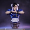 Chun-Li (Prototype Shown) View 1