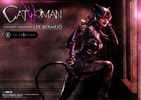 Catwoman Collector Edition - Prototype Shown