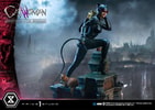 Catwoman Collector Edition - Prototype Shown