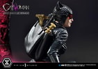 Catwoman Collector Edition - Prototype Shown