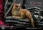 Catwoman Collector Edition - Prototype Shown