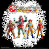 Lion-O (Toy Version)- Prototype Shown