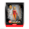 Cheetara (Toy Version)- Prototype Shown