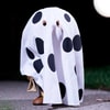 Charlie Brown (Ghost Sheet)- Prototype Shown