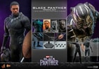 Black Panther (Original Suit) (Prototype Shown) View 21