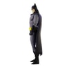 Batman- Prototype Shown