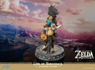 Link on Horseback
