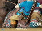 Link on Horseback