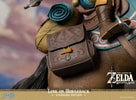 Link on Horseback
