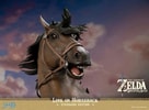 Link on Horseback