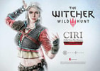 Cirilla Fiona Elen Riannon Alternative Outfit Collector Edition - Prototype Shown