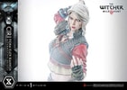 Cirilla Fiona Elen Riannon Alternative Outfit