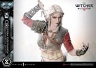 Cirilla Fiona Elen Riannon Alternative Outfit