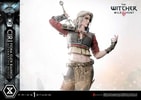Cirilla Fiona Elen Riannon Alternative Outfit