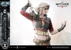 Cirilla Fiona Elen Riannon Alternative Outfit Collector Edition - Prototype Shown