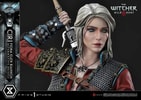 Cirilla Fiona Elen Riannon Alternative Outfit