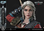 Cirilla Fiona Elen Riannon Alternative Outfit