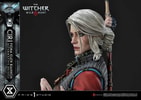 Cirilla Fiona Elen Riannon Alternative Outfit