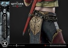Cirilla Fiona Elen Riannon Alternative Outfit