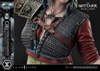 Cirilla Fiona Elen Riannon Alternative Outfit