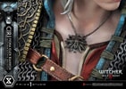 Cirilla Fiona Elen Riannon Alternative Outfit
