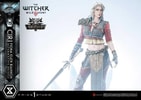 Cirilla Fiona Elen Riannon Alternative Outfit (Deluxe Version)