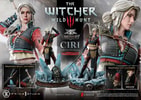 Cirilla Fiona Elen Riannon Alternative Outfit (Deluxe Version)