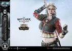 Cirilla Fiona Elen Riannon Alternative Outfit (Deluxe Bonus Version) (Prototype Shown) View 6