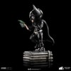 Batman Mini Co. (Prototype Shown) View 2