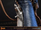 Richter Belmont (Standard Edition)