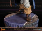 Richter Belmont (Standard Edition)