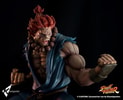 Akuma Raging Demon Collector Edition (Prototype Shown) View 1