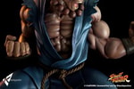 Akuma Raging Demon Collector Edition (Prototype Shown) View 14
