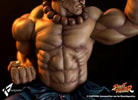 Akuma EX Alpha (Prototype Shown) View 10