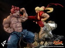 Akuma EX Alpha (Prototype Shown) View 7