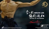 Bruce Lee Collector Edition - Prototype Shown