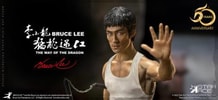 Bruce Lee Collector Edition - Prototype Shown