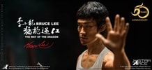 Bruce Lee Collector Edition - Prototype Shown
