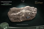 T-Rex (Deluxe)