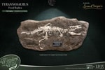 T-Rex (Deluxe)