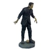 Frankenstein View 1