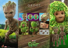 Groot