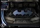 Batman Sonar Suit Collector Edition (Prototype Shown) View 17