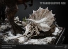 Tyrannosaurus Rex
