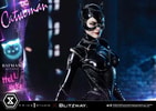 Catwoman Collector Edition - Prototype Shown