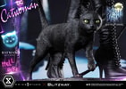 Catwoman (Bonus Version)