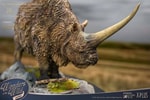 Elasmotherium Rhino (Brown Version)